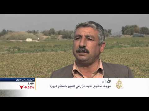الصقيع يلحق خسائر بمزارعي غور الأردن