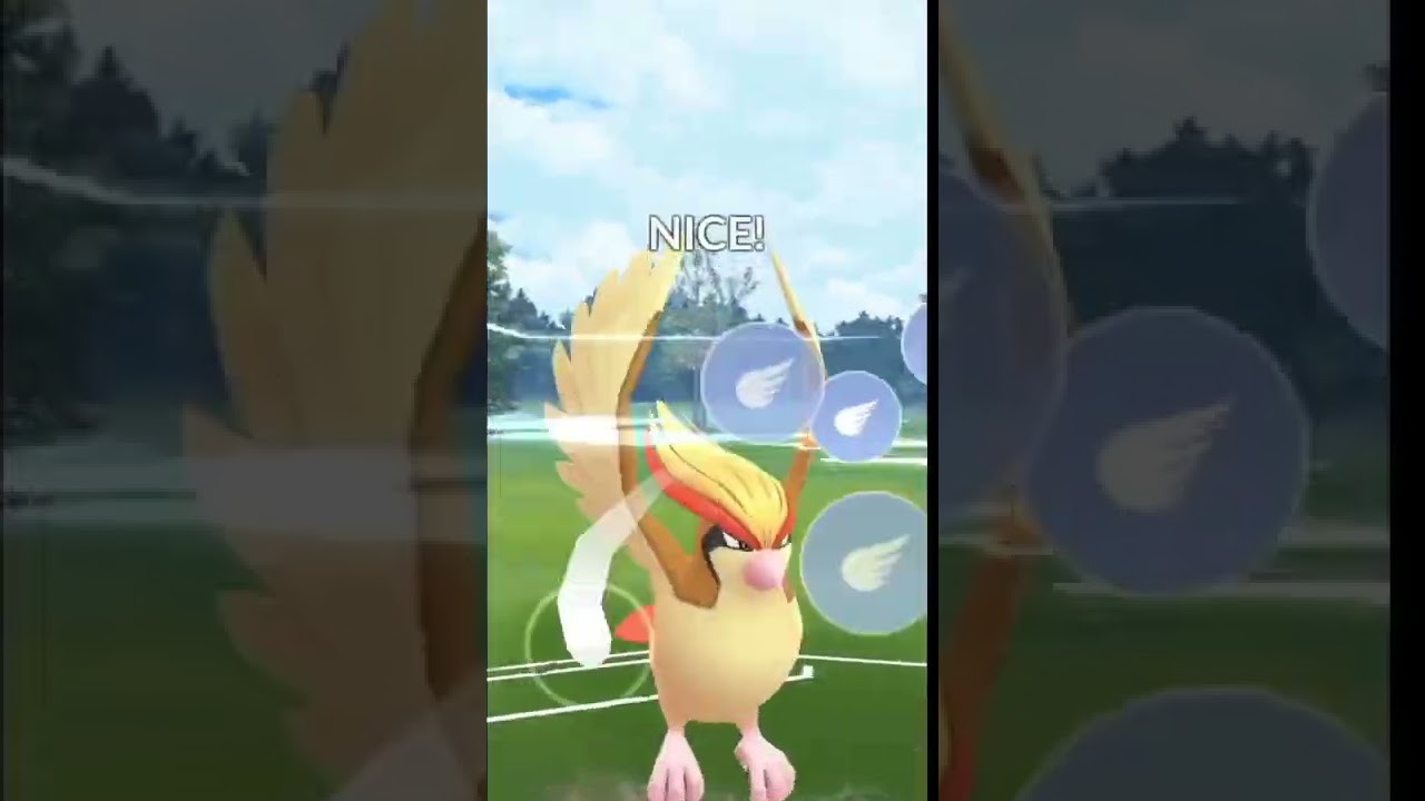 Two Pidgeot battle in summer Cup 🏆😎 ( Won) #pokemongo #shorts