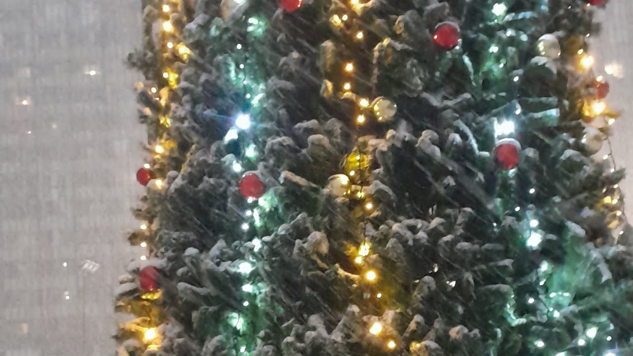 ✨️🎆Предновогодняя прогулка в снегопад☃️❄️НЮША/31.12.25/С НОВЫМ ГОДОМ!🎁🍾 Санкт-Петербург/Мурино