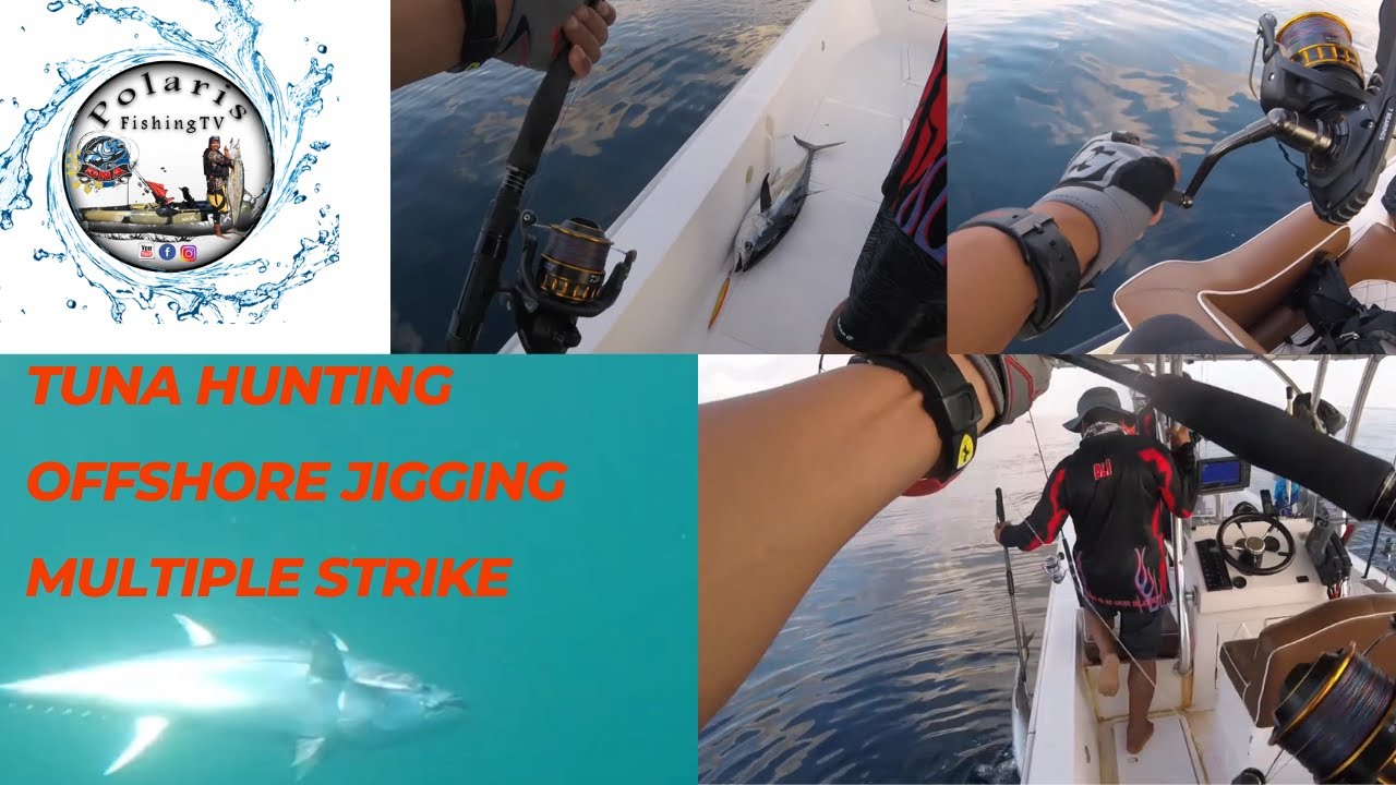 Long Tail Tuna Size Limit Qld