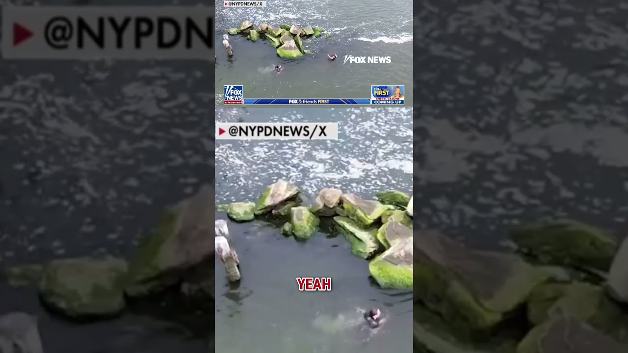 Bodycam Footage Shows NYPD Officer Dive Into Water After Suspected Car Thief Shorts Foxnews News