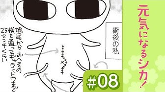 元気になるシカ Youtube