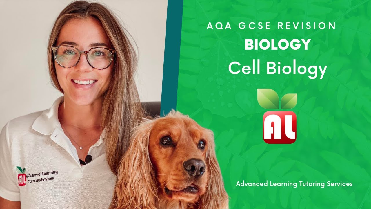 Aqa gcse biology cells revision youtube