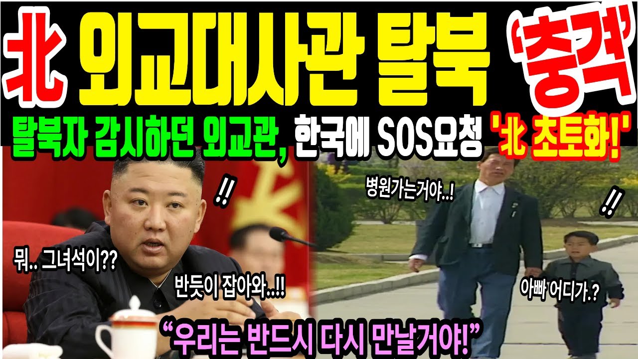 [해외감동사연]북한 탈북자 감시하던 외교관 탈북, 한국에 SOS요청 한국 방문후 3초만에 놀란 이유