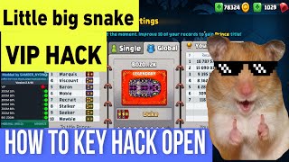 Little big snake hack | How to key hack open, Vip unlock, zoom hack screenshot 2