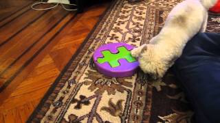 Kyjen Dog Game Jigsaw Glider screenshot 5