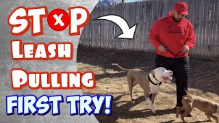 How to train your Pit Bull not to PULL on the Leash! (Heel Walking)