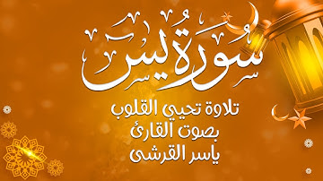 سورة يس | تلاوة خاشعة تهز القلوب ❤️ | بصوت الشيخ ياسر القرشي 🎙️