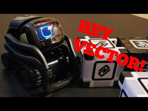 Featured image of post What Can Vector Robot Do : It can handle basic facts about people, places, and products in addition to being a timer and answering the weather at launch.
