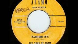 The Sons of Adam 'Feathered Fish' (1966) [Pebbles version] chords