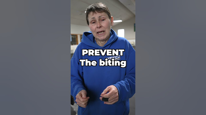 Dealing With A Puppy Biting Problem - First Steps