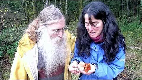 Paul Stamets finds Lactarius fragilis w/ Dusty Yao...