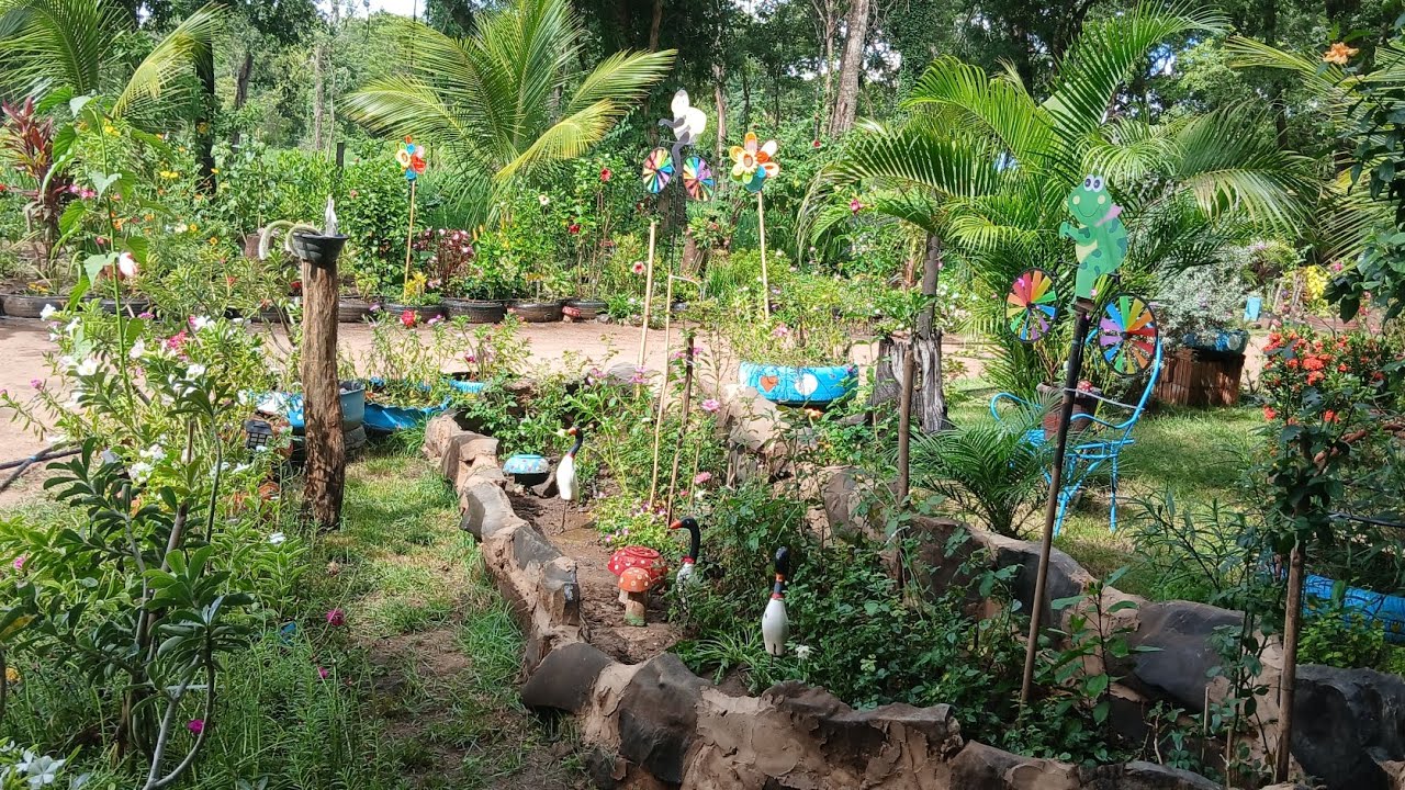 🌺✨ FLORAÇÕES DAS 11H DANDO UM SHOW NO JARDIM 🌹🌼 | Hibiscos, Rosas do Deserto e Flores Encantadoras 🌸