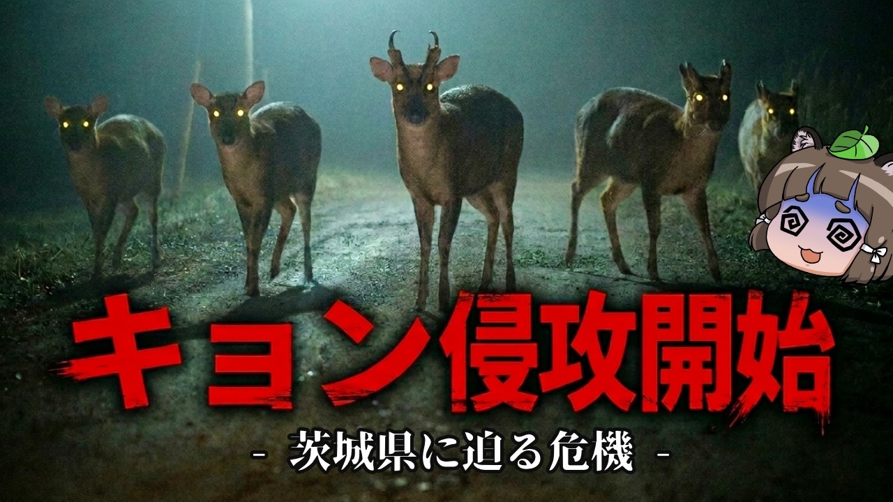 【マズい】キョン、ついに一線を越えて茨城に侵攻してしまう…