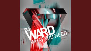 What You Need (Extended Mix) Profile