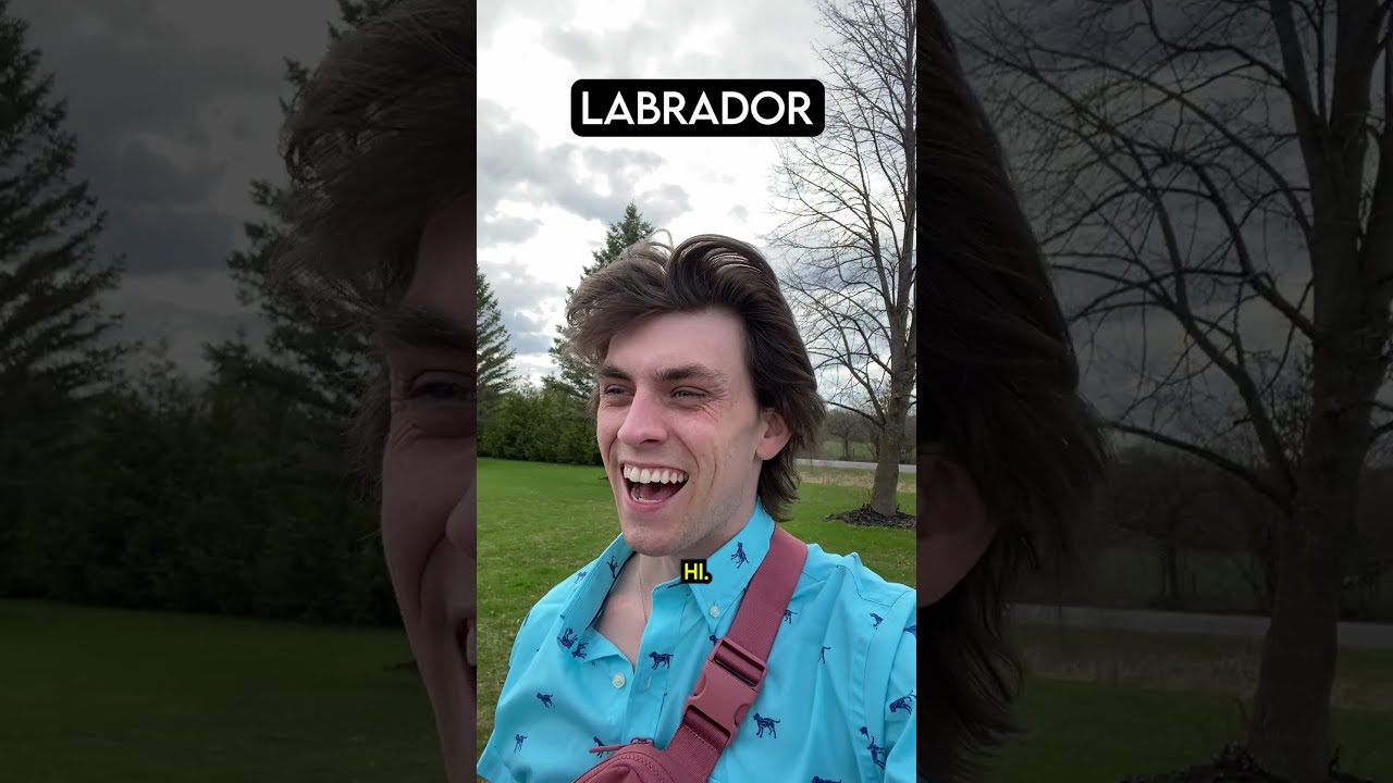How Dog Breeds React To The Mailman