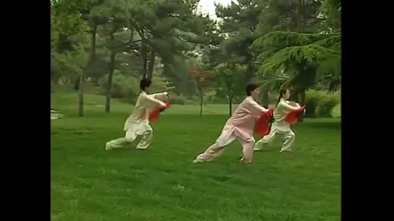 18 thức thái cực phiến- 18式太极扇杨