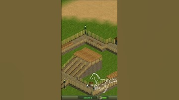 Zoo Tycoon Speed Build - Przewalski