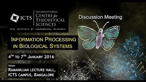 Physics of Epithelial Morphogenesis by Guillaume Salbreux