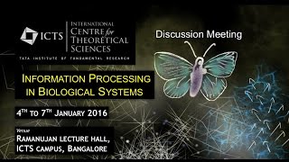 Physics of Epithelial Morphogenesis by Guillaume Salbreux
