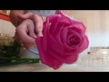 Preserving Roses in wax