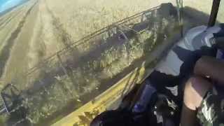 GOPRO moissonneuse NewHolland part1