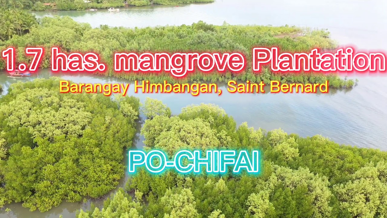 YRRP of DENR CENRO SAN JUAN