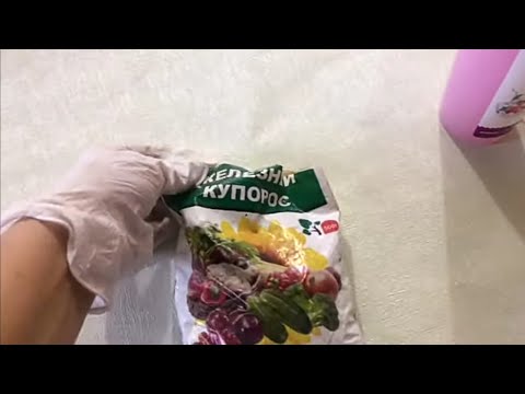 Нужен ли розам ЖЕЛЕЗНЫЙ КУПОРОС?-Всё очень неоднозначно...Мой опыт применения🤔🌹