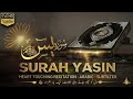 Surah Yaseen Surah Rahman Best Quran Recitation || Ep 202 ||beautiful quran recitation 