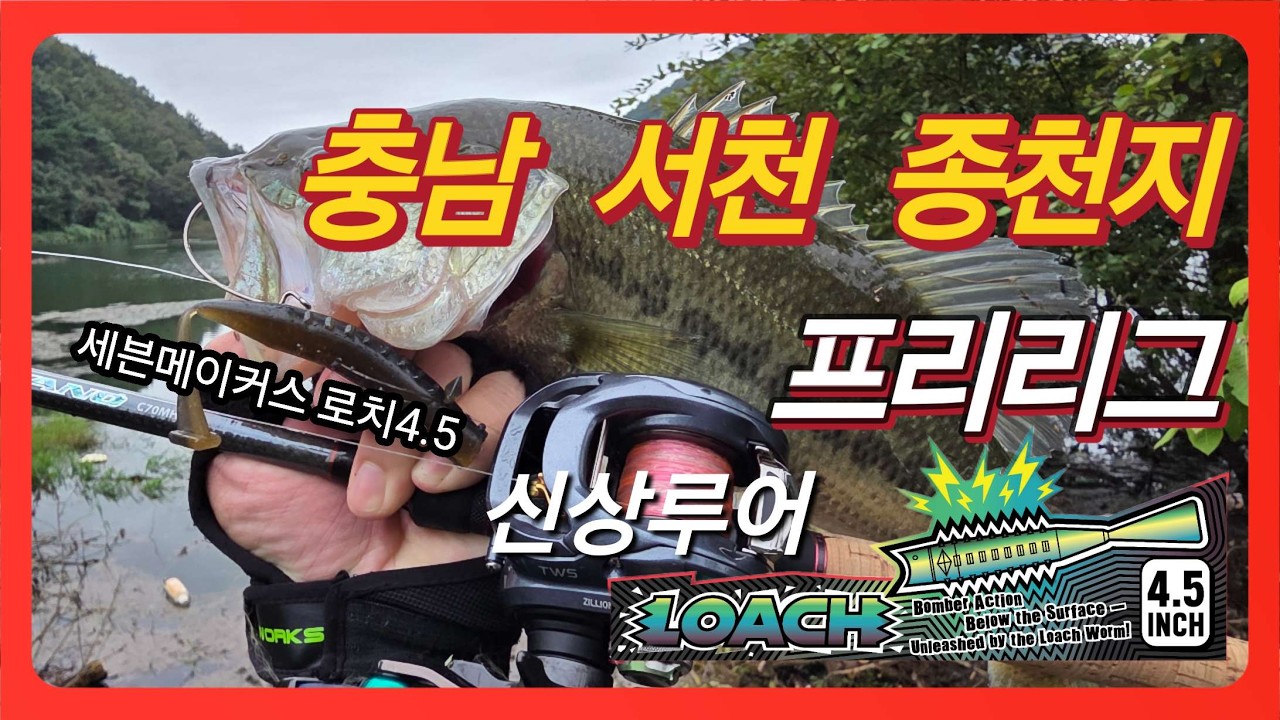 배스낚시 프리리그 25년가을 신상웜 로치4.5 출시전테스트 #프리리그 #신상 #세븐메이커스 #로치4.5 #배스낚시 #배스 #배스웜 #bassfishing #짬낚 #로치