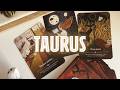 TAURUS 💗 SOMEONE YOUNGER IS SOOOO INTO YOU! ACTUALLY, HELLA PPL MADE AN APPEARANCE HERE