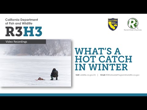 R3H3 - What’s a Hot Catch in Winter - Episode 24