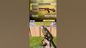 THIS PP19 BIZON HAS NO RECOIL😱 #codm #pp19bizon