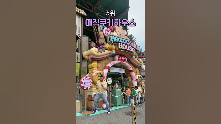 에버랜드 가장 최신 놀이기구 TOP5
