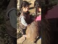 em ấy rất thích động vật,動物が大好きな3歳児