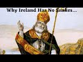 Fun Fact | Why Doesn&#39;t Ireland Have Any Snakes? - Happy St. Patrick&#39;s Day!