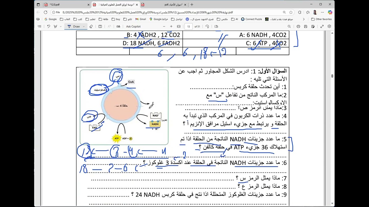 مراجعة تدفق الطاقة خاصة الحسابات مع اتخاذ كربس مركزا للسؤال