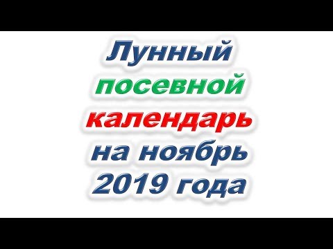 Что посеять в ноябре 2019 года? Лунный посевной, посадочный календарь на ноябрь 2019 для огородник..