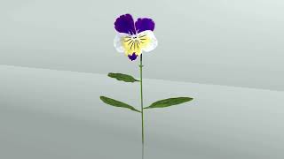 Birth Month Flowers: VIOLET in 3D screenshot 2