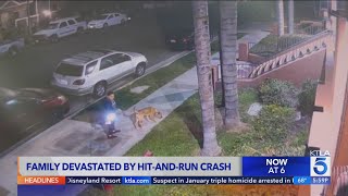 Family devastated after fatal hit-and-run in North Hills