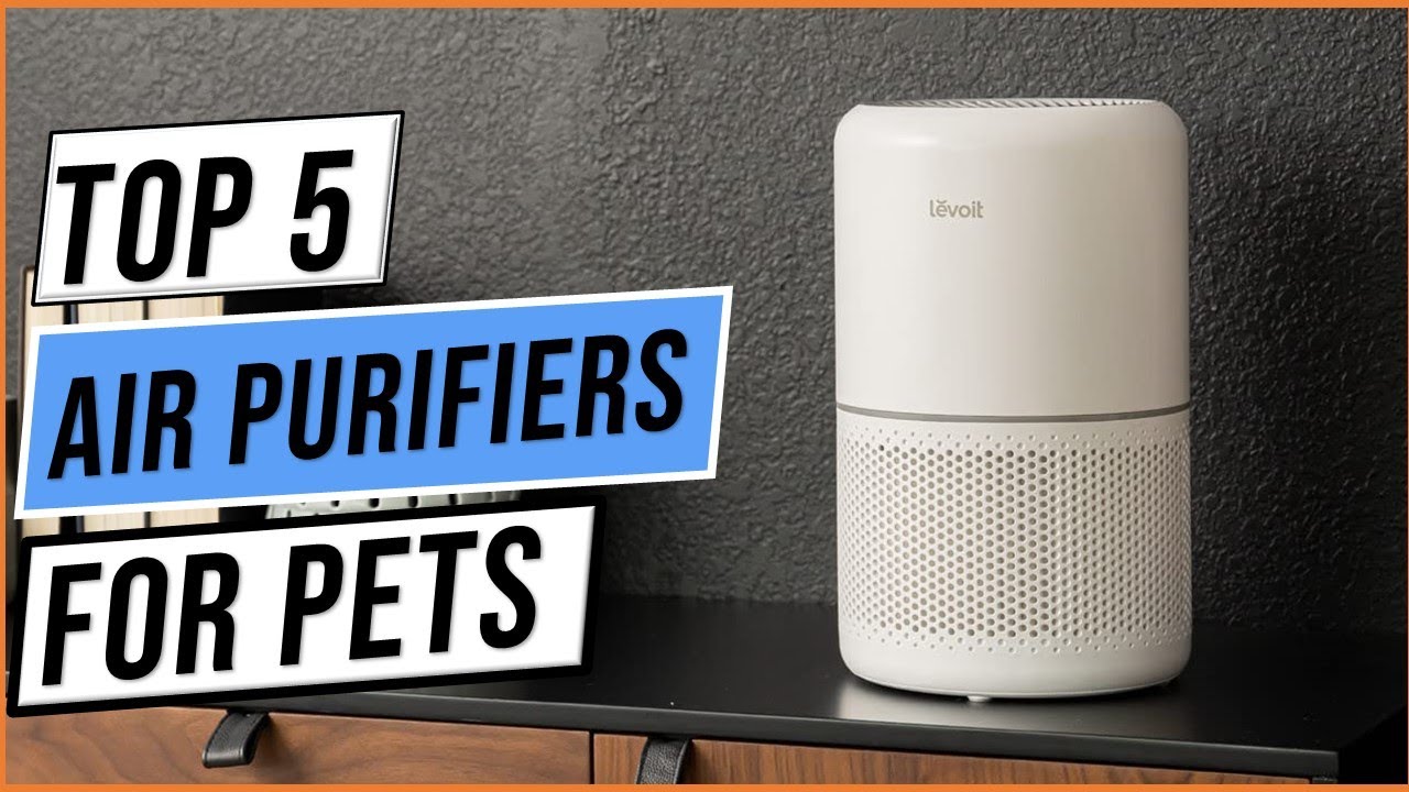 5 Best Air Purifiers for Pets to Improve Indoor Air Quality - YouTube