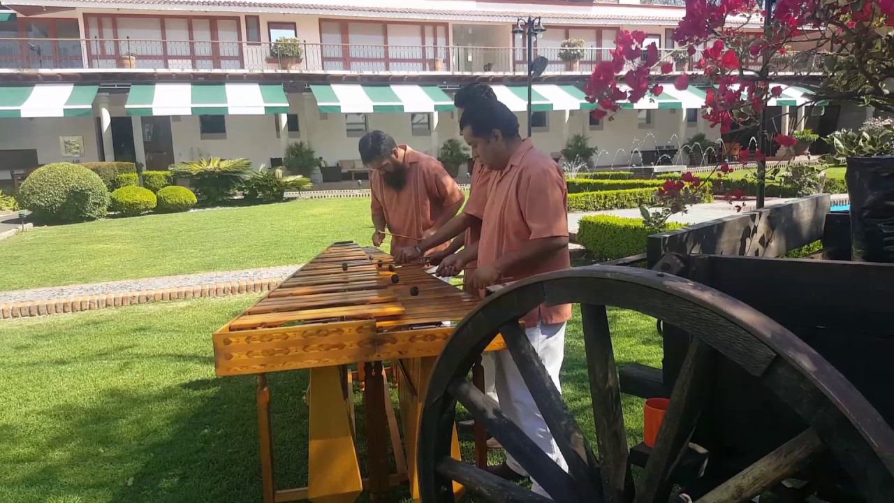 Marimba profesional en Cuernavaca YouTube