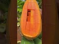 wao papaya fruit hd