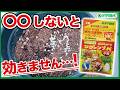 その使い方、効いてないかも？！マグァンプKの正しい使い方！【ハイポネックス】【リキダス】【家庭菜園】