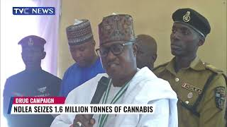 (Watch) Katsina NDLEA Seizes 1.6 Million Tonnes of Cannabis Since 2021