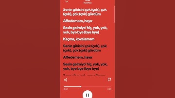 Thumbnail of MANİFEST SNAP ŞARKI SÖZLERİ 🎵🎶 | #keşfetbeniöneçıkar #keşfet #manifest #manifam #sarkisozleri | 🎀🫶🌸💗