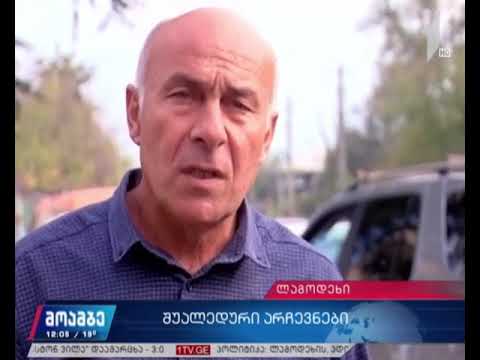 არჩევნები ლაგოდეხის, ადიგენისა და მარტვილის მუნიციპალიტეტებში