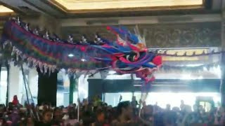 Barongsai dan Ular Naga ada disini Hari Raya Imlek th 2023
