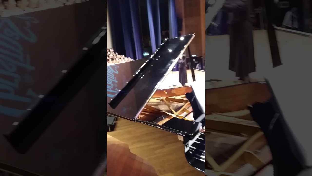 Silent Night (Steinway & Sons full size grand piano)