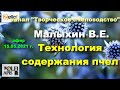 15.05.21 г. Z-рация, канал "#Творческое_пчеловодство" #Малыхин В.Е. #Технология_содержания_пчел